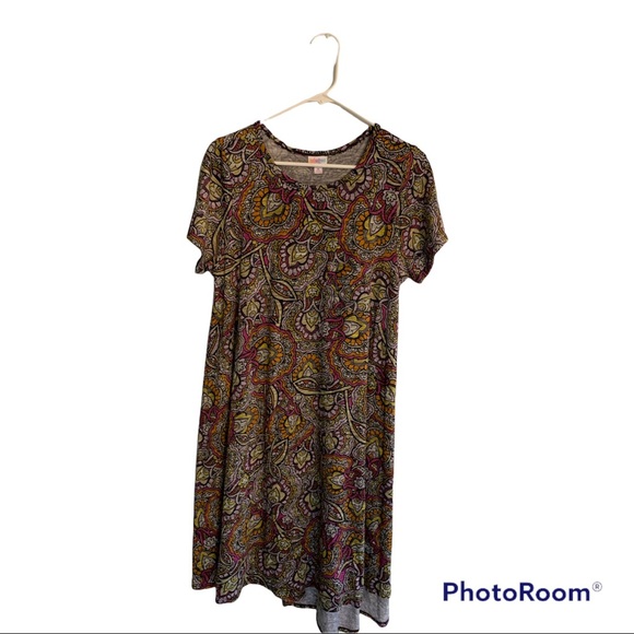LuLaRoe Dresses & Skirts - LulaRoe Carly Dress
